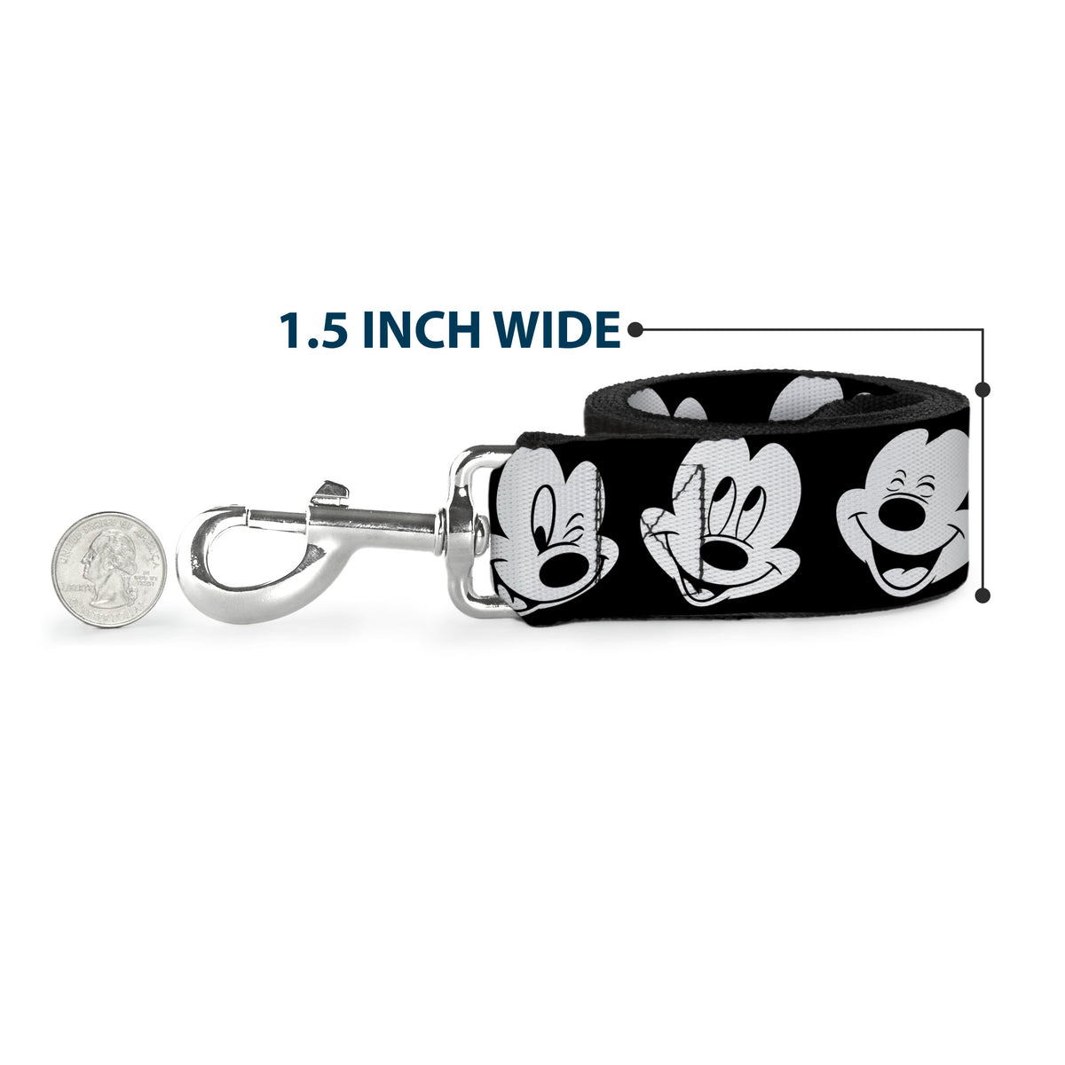 Dog Leash - Disney Princess Blocks Dog Leashes Disney