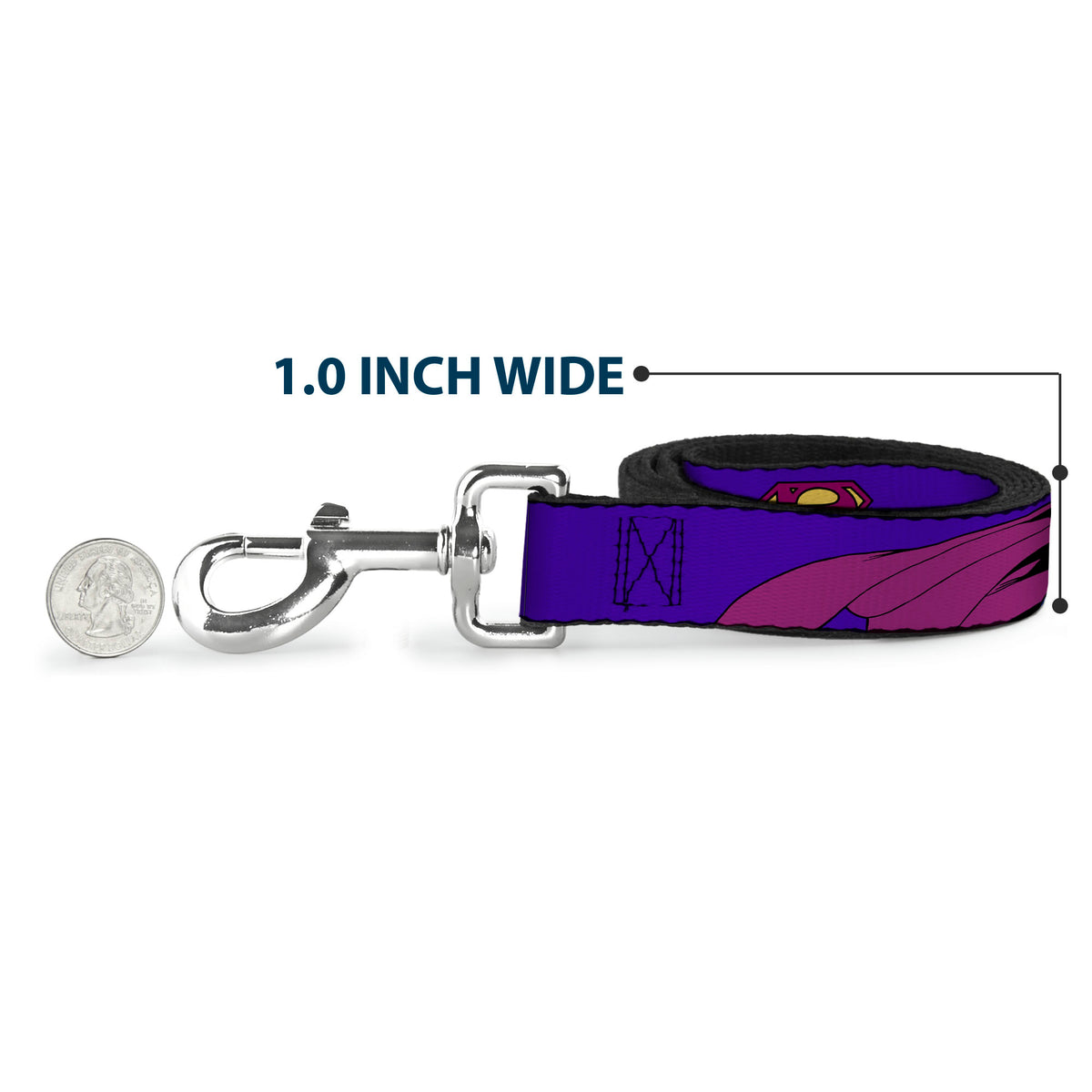 Dog Leash - Bizzaro Logo w/Bizzaro Pose Dog Leashes DC Comics