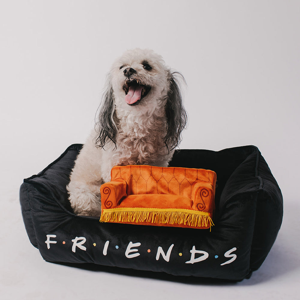 Dog Toy Squeaker Plush - Friends Central Perk Couch Dog Toy Squeaky Plush Friends
