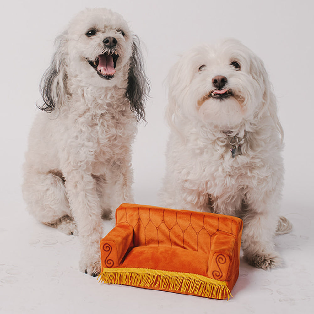 Dog Toy Squeaker Plush - Friends Central Perk Couch Dog Toy Squeaky Plush Friends