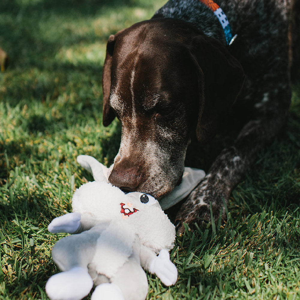 Dog Toy Squeaker Plush - Looney Tunes Bugs Bunny Full Body Dog Toy Squeaky Plush Looney Tunes