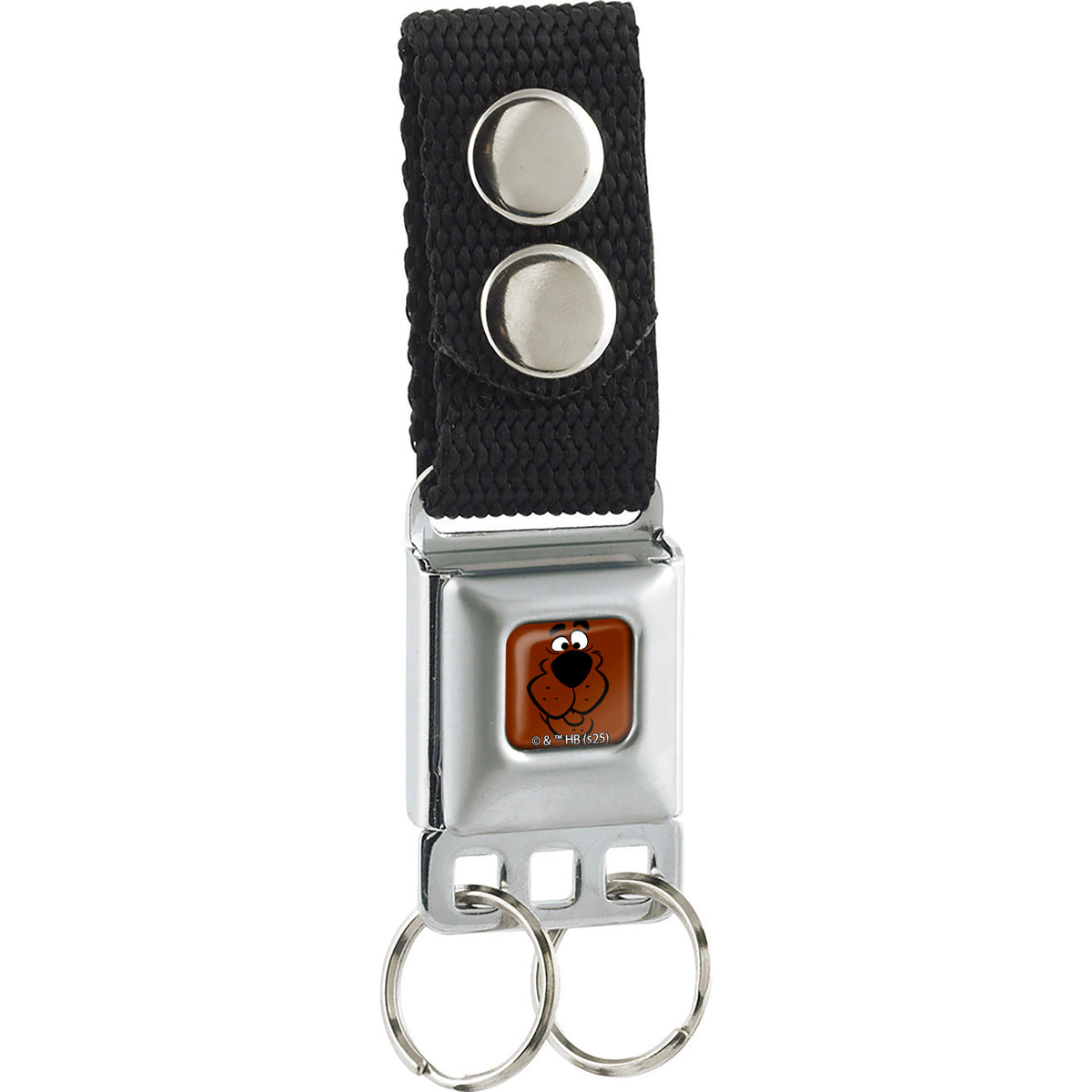 Keychain - Scooby Doo Face Close-Up Full Color Brown Keychains Scooby Doo