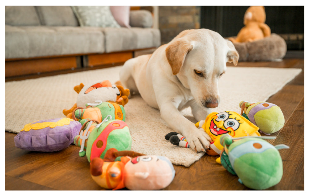 Dog playing with colorful toys on a wooden floor