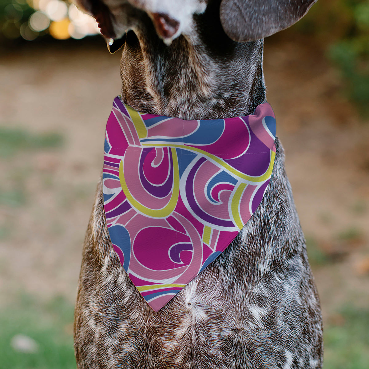 Pet Bandana - Barbie Swirl Pinks/Multi Color Pet Bandanas Barbie