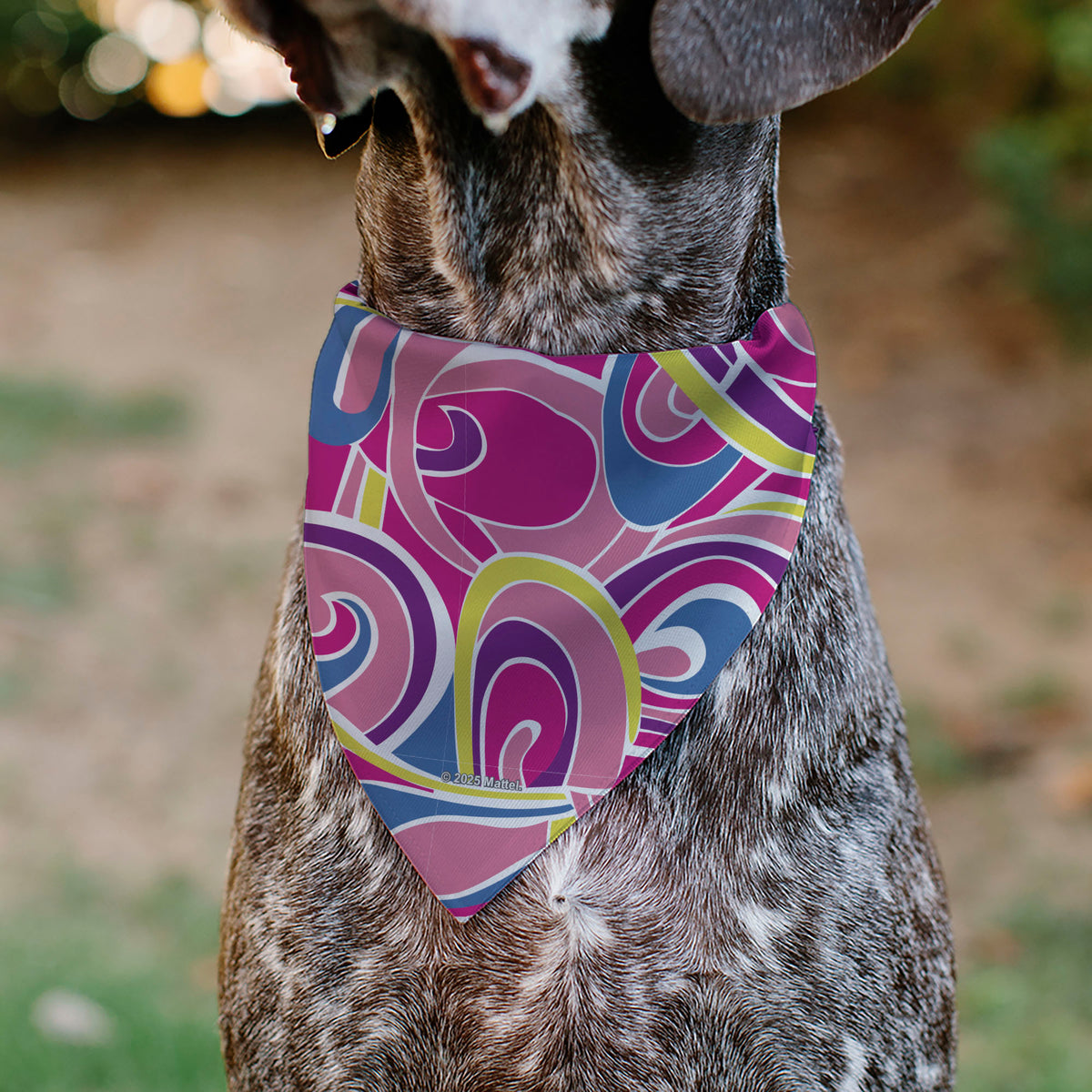 Pet Bandana - Barbie Swirl Pinks/Multi Color Pet Bandanas Barbie