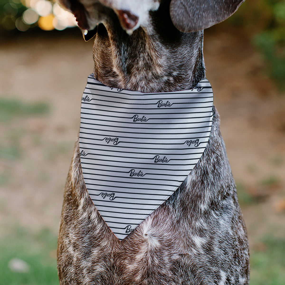 Pet Bandana - BARBIE Script Stripe White/Black Pet Bandanas Barbie