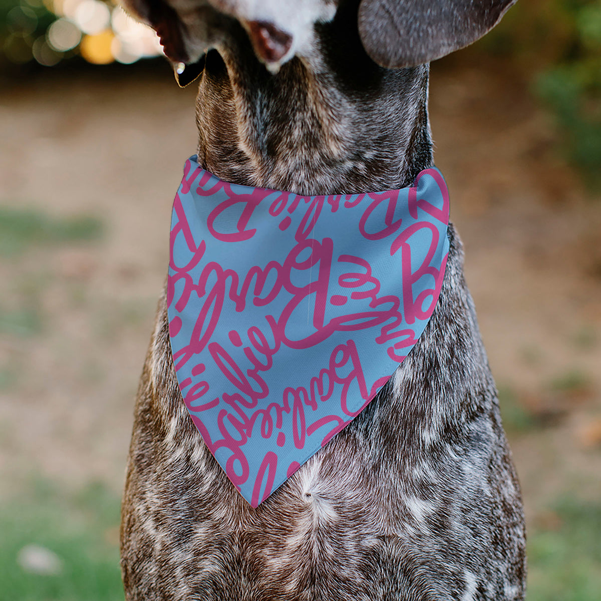 Pet Bandana - BARBIE Autograph Script Scattered Blue/Pink Pet Bandanas Barbie