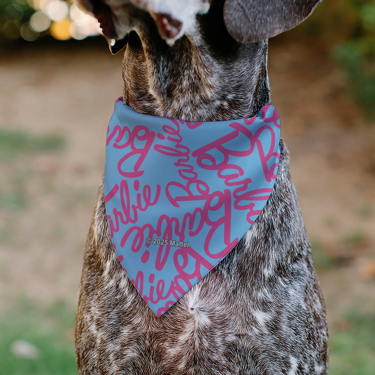 Pet Bandana - BARBIE Autograph Script Scattered Blue/Pink Pet Bandanas Barbie