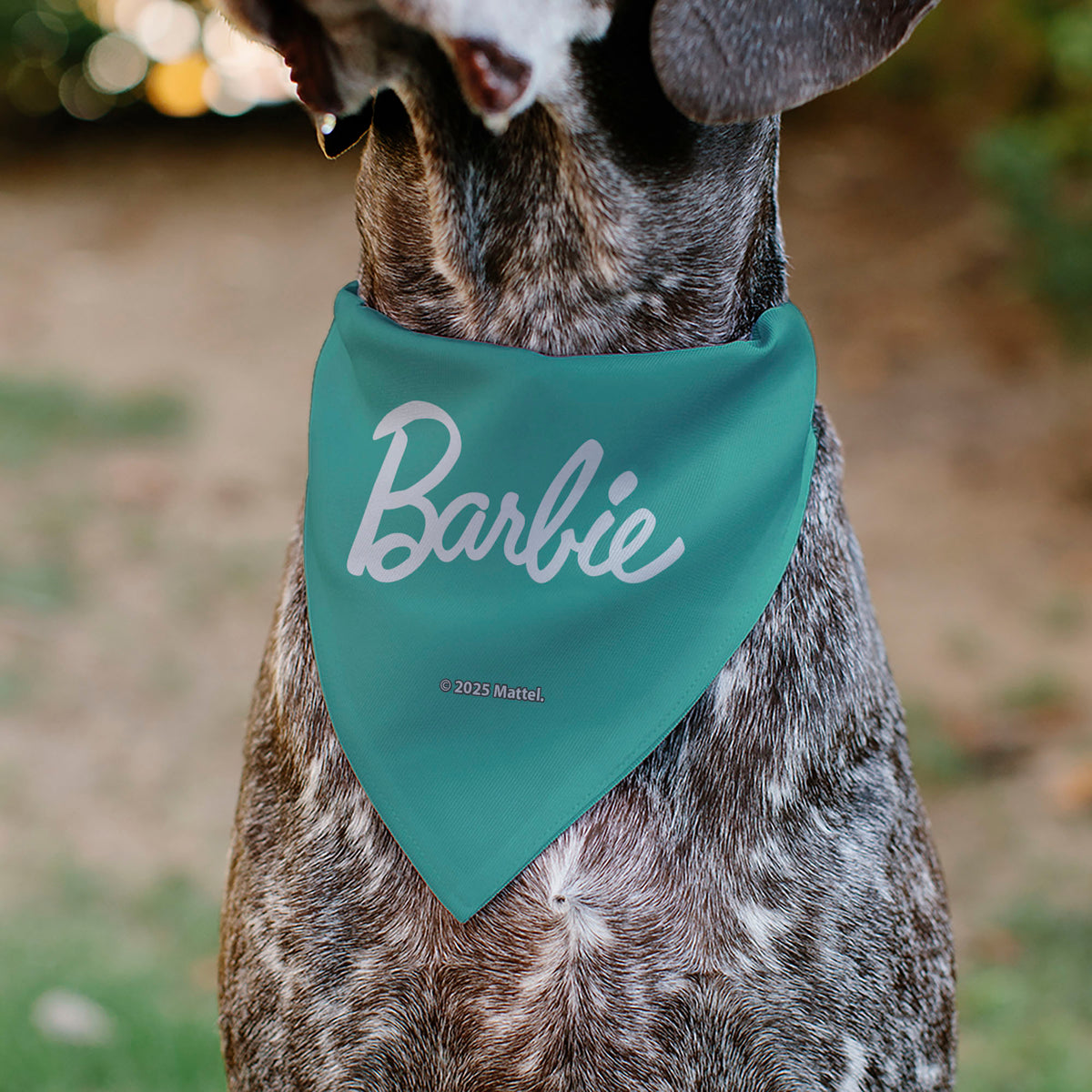 Pet Bandana - BARBIE Paw Print Icons and Script Blue/Multi Pastel Pet Bandanas Barbie