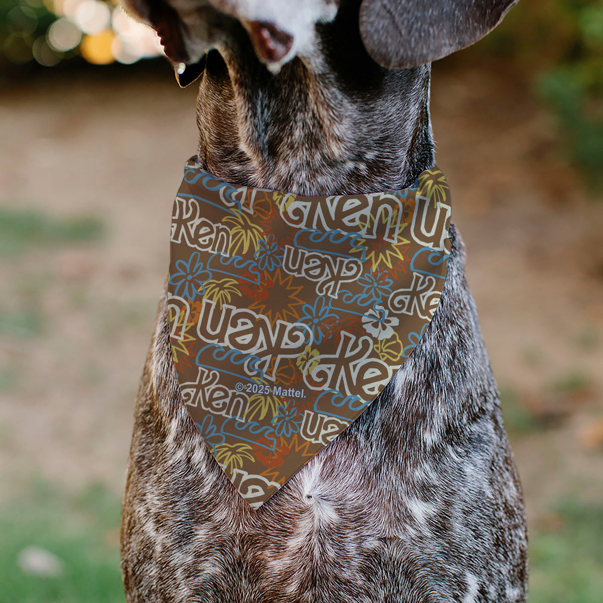 Pet Bandana - Barbie KEN Text Logo and Icons Brown/Multi Color Pet Bandanas Barbie