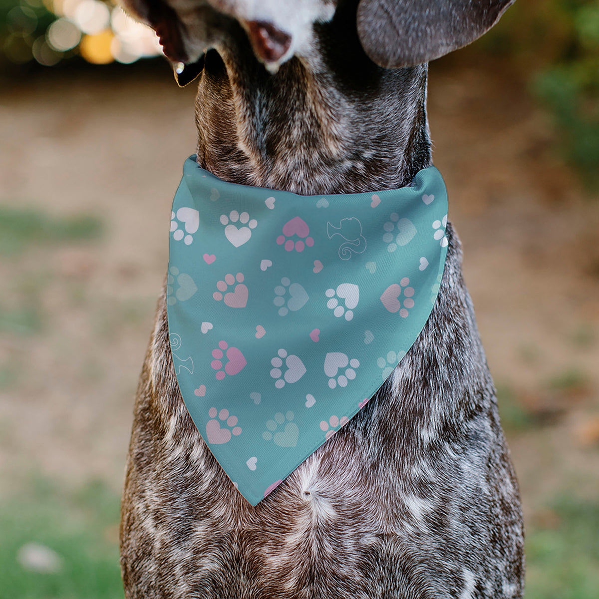 Pet Bandana - BARBIE Bold Text Paw Print Icons Blues/Pinks/White Pet Bandanas Barbie