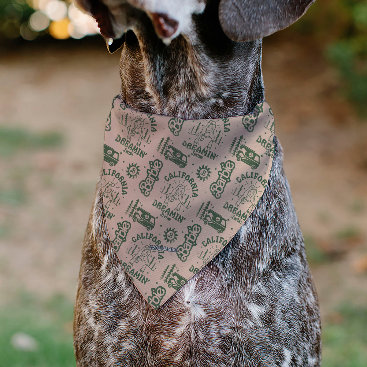Pet Bandana - CALIFORNIA DREAMIN BARBIE Icons Collage and Script Peach/Olive Pet Bandanas Barbie