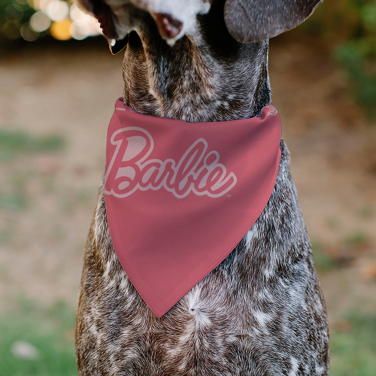 Pet Bandana - Malibu Beach BARBIE Script and Icons Collage Pinks Pet Bandanas Barbie