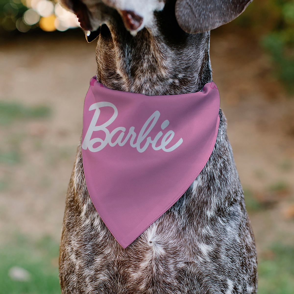 Pet Bandana - BARBIE Script and B Icon Collage Pinks/White Pet Bandanas Barbie