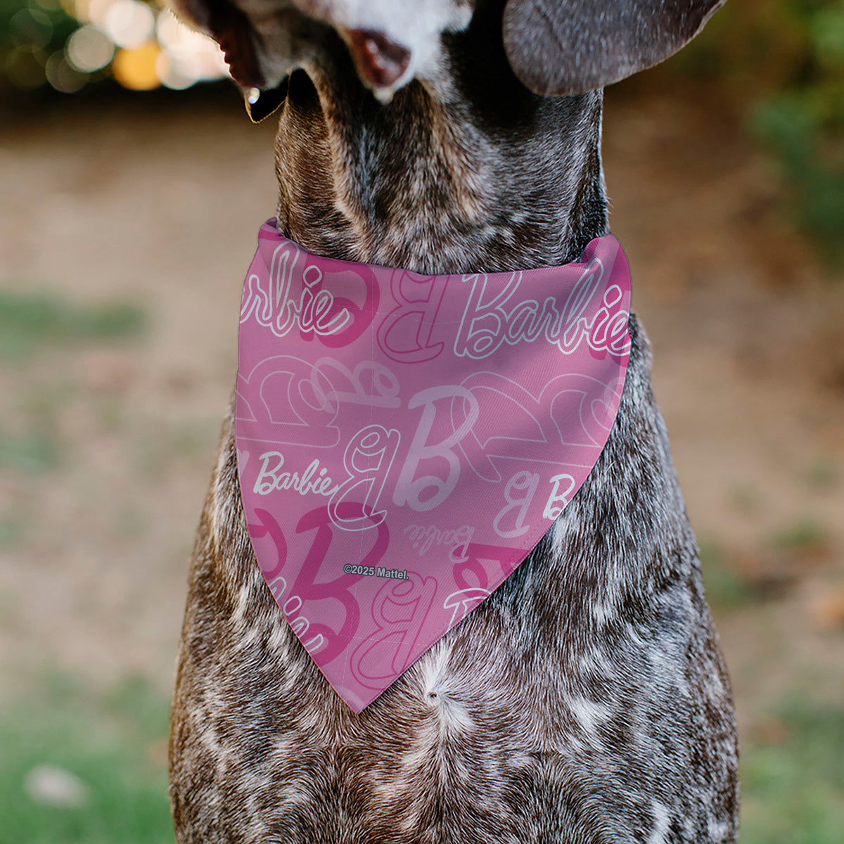 Pet Bandana - BARBIE Script and B Icon Collage Pinks/White Pet Bandanas Barbie