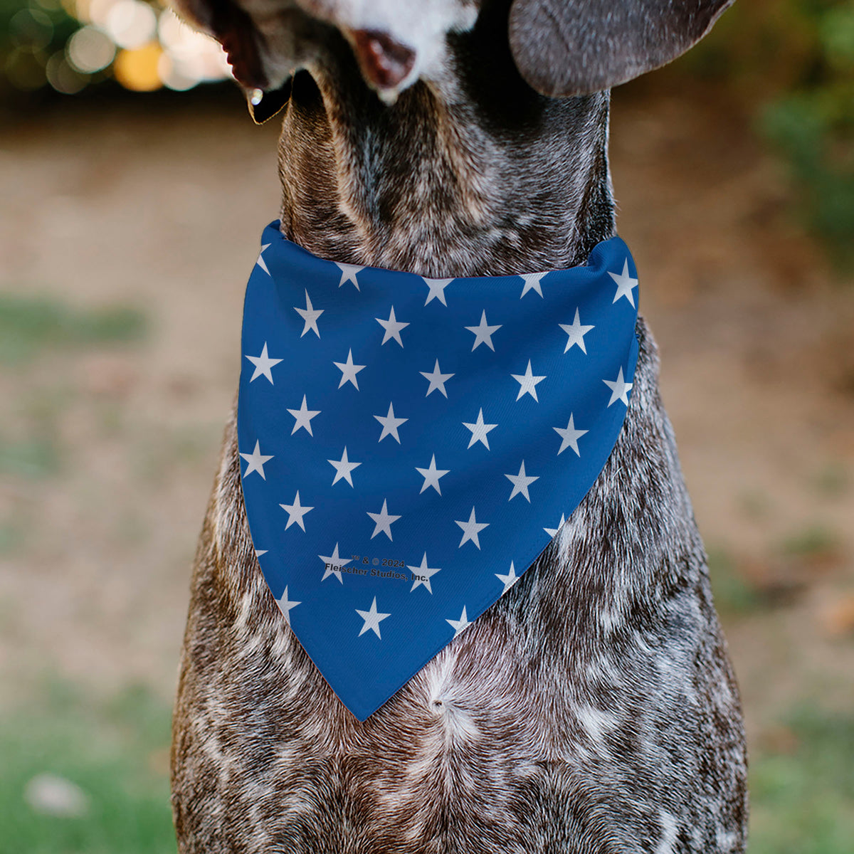 Pet Bandana - Bandana BETTY BOOP Americana Soldier Salute Pose Logo and Stars Blue/White Pet Bandanas Betty Boop