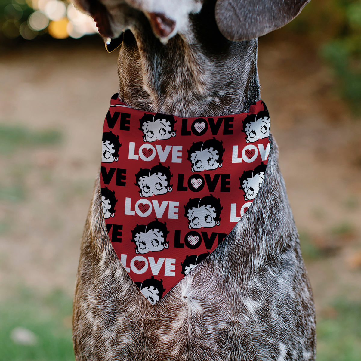 Pet Bandana - Betty Boop LOVE Text and Face Red/Black/White Pet Bandanas Betty Boop