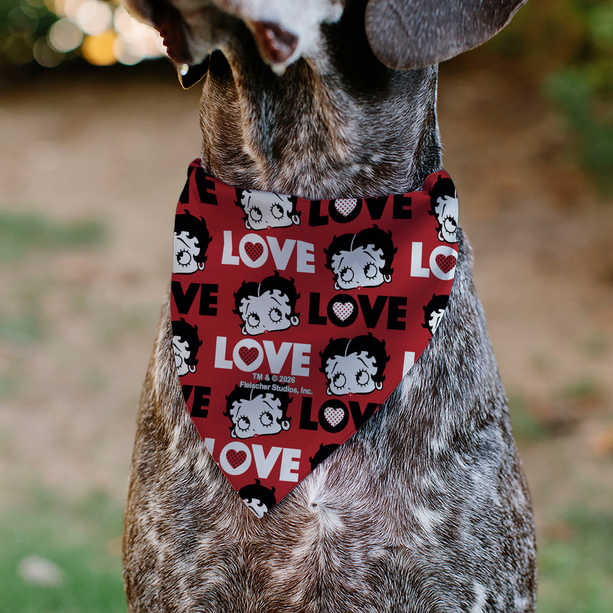 Pet Bandana - Betty Boop LOVE Text and Face Red/Black/White Pet Bandanas Betty Boop