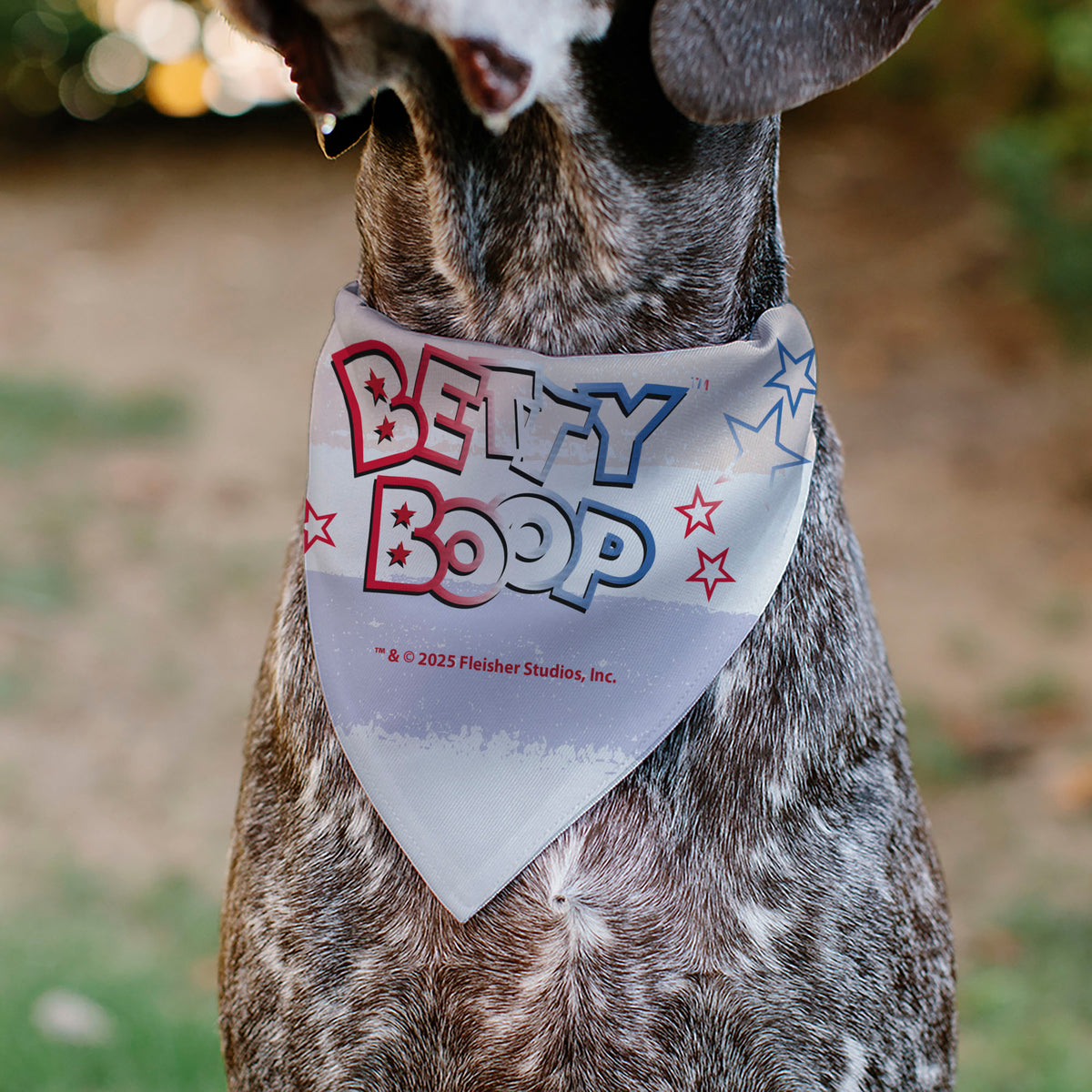 Pet Bandana - Betty Boop Americana Leg Kick Pose White/Red/Blue Pet Bandanas Betty Boop