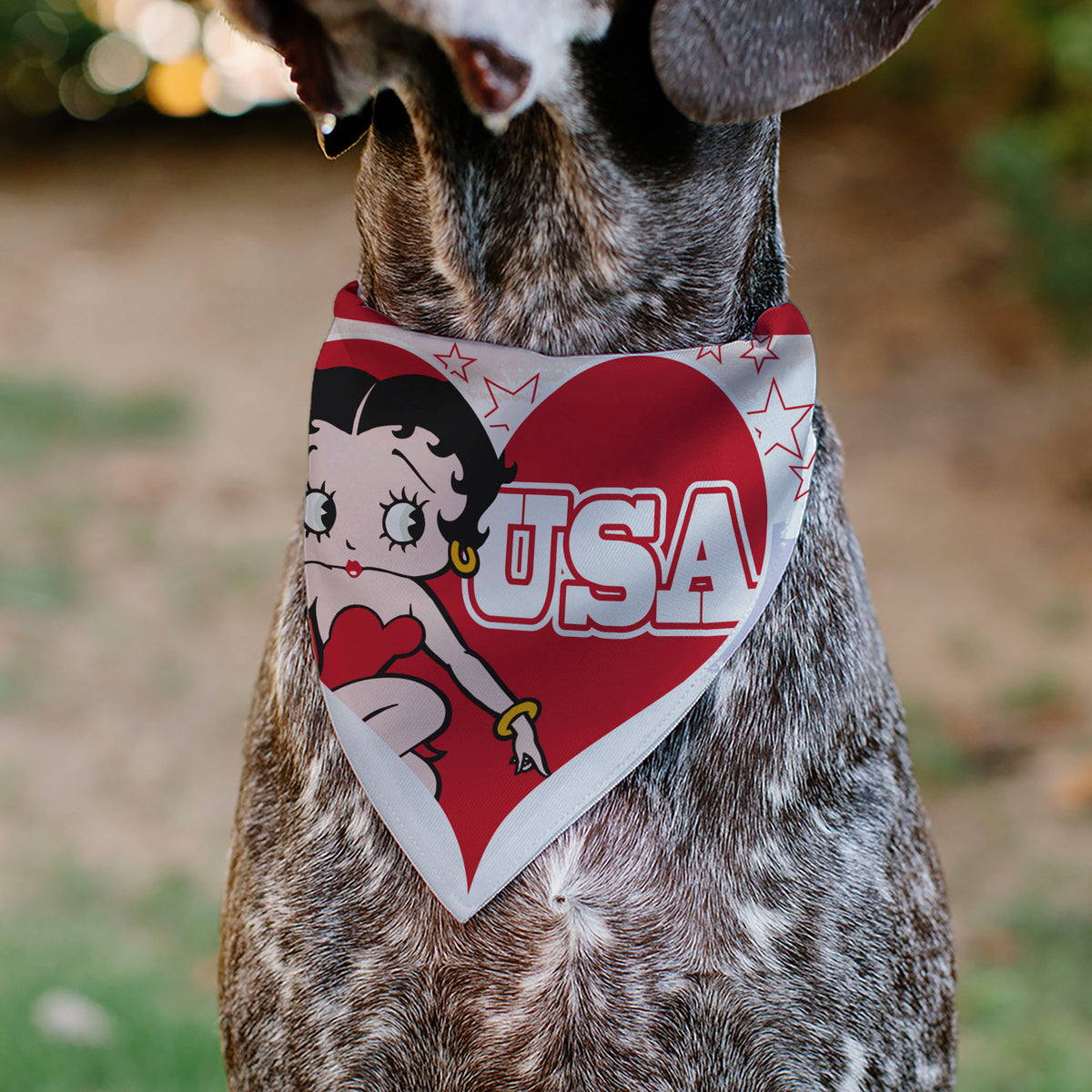 Pet Bandana - Betty Boop USA Heart Pose and Stars White/Red Pet Bandanas Betty Boop
