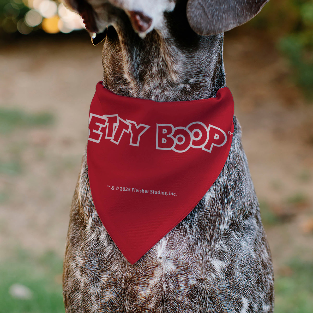 Pet Bandana - Betty Boop USA Heart Pose and Stars White/Red Pet Bandanas Betty Boop