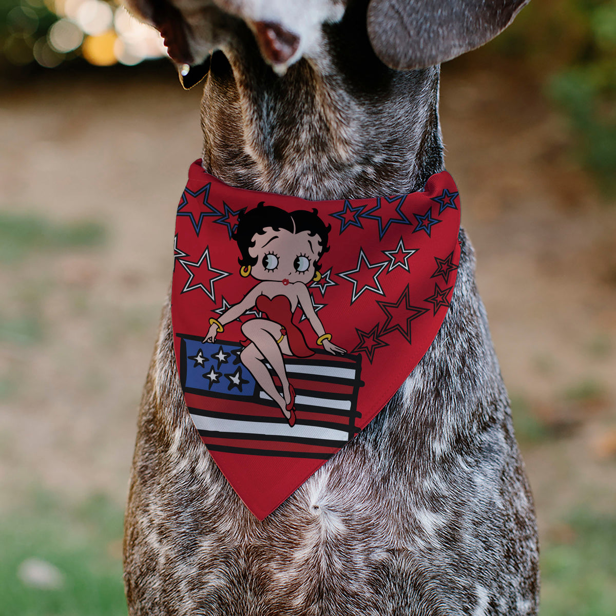 Pet Bandana - Betty Boops Americana Stars and Stripes Pose Reds/White/Blue Pet Bandanas Betty Boop