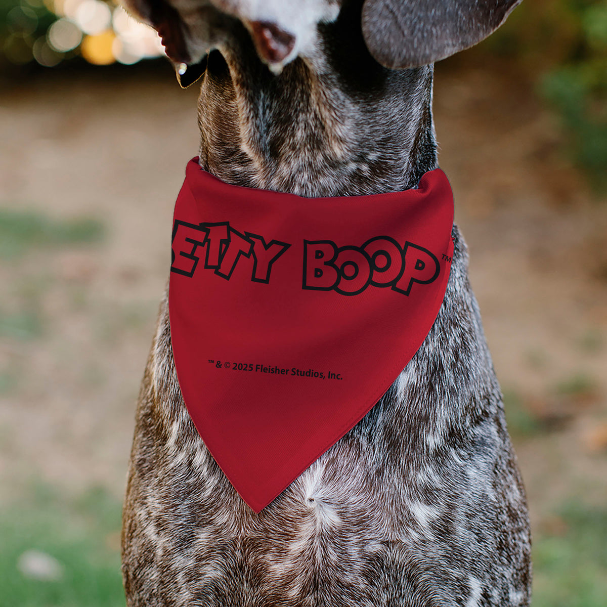 Pet Bandana - Betty Boops Americana Stars and Stripes Pose Reds/White/Blue Pet Bandanas Betty Boop