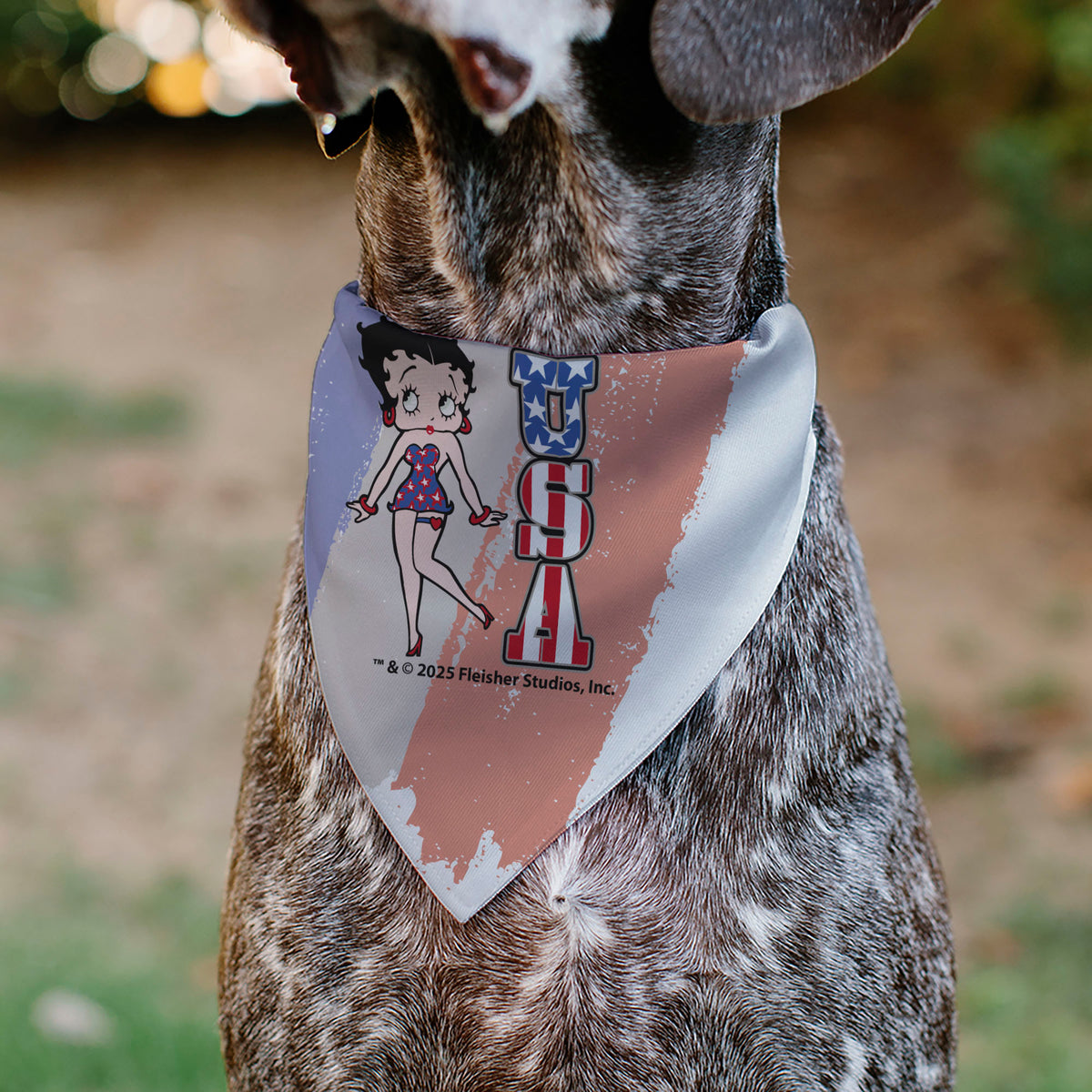 Pet Bandana - Betty Boop USA Stars and Stripes Pose White/Red/Blue Pet Bandanas Betty Boop
