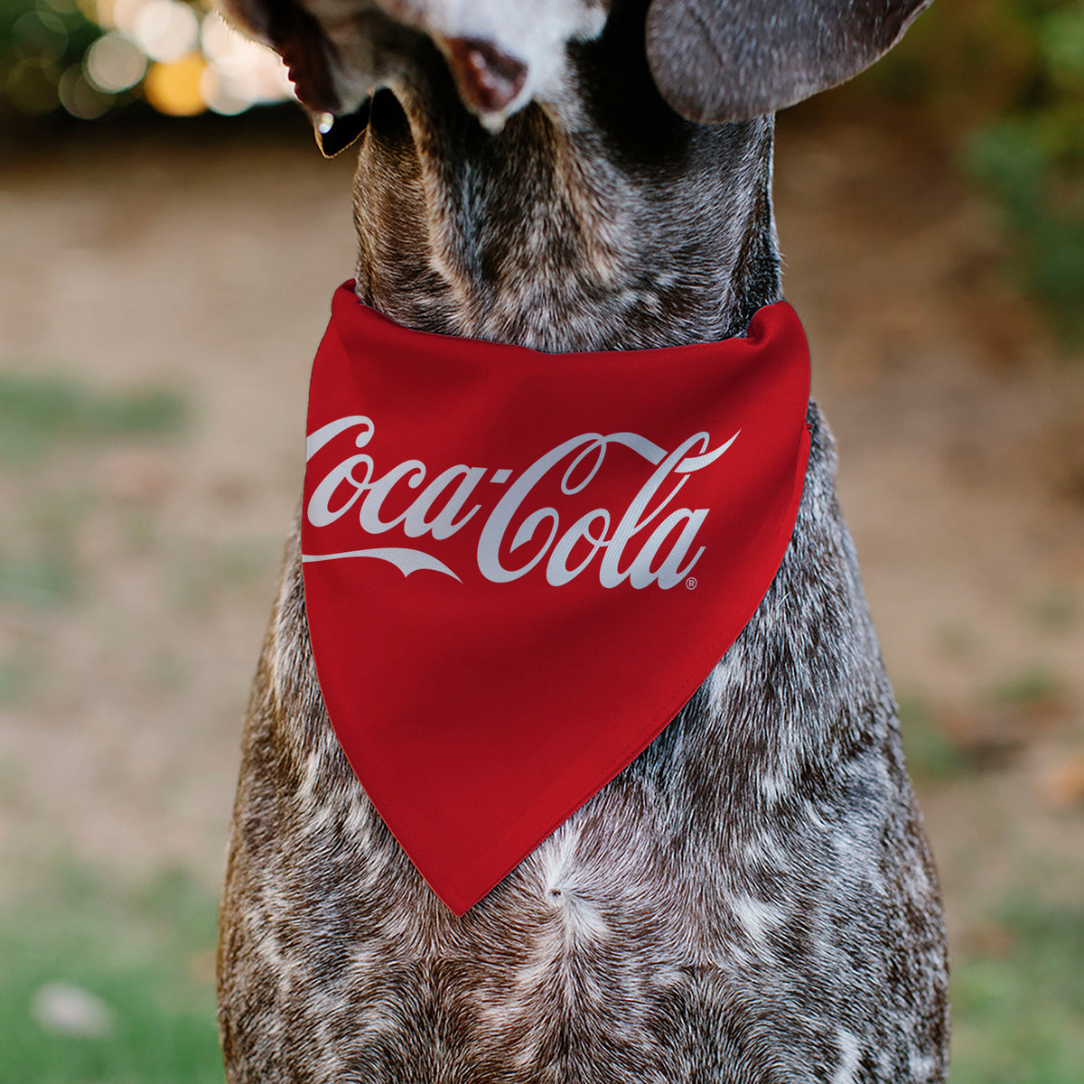 Pet Bandana - COCA-COLA Script Logo Centered Red/White Pet Bandanas Coca-Cola