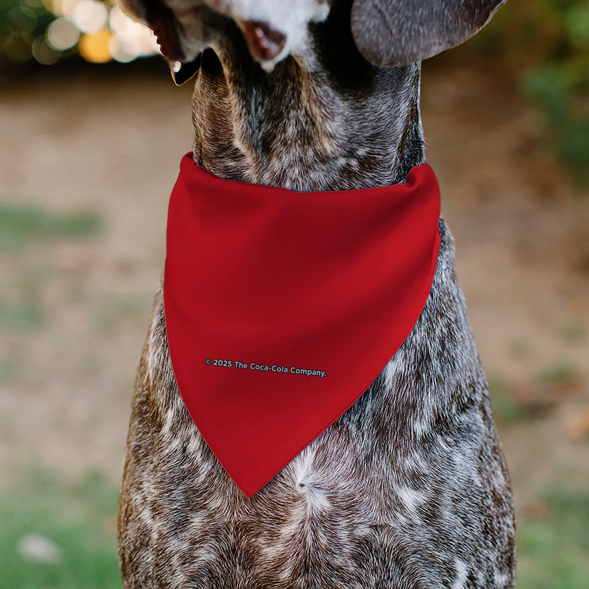 Pet Bandana - COCA-COLA Script Logo Centered Red/White Pet Bandanas Coca-Cola