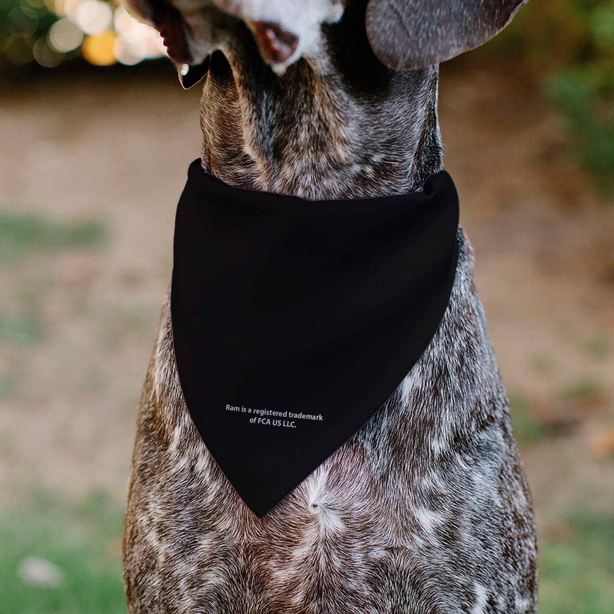 Pet Bandana - RAM Americana Stars and Stripes Weathered Black/Brown/White Pet Bandanas Ram