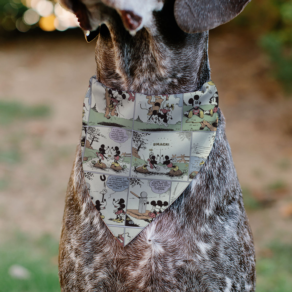 Pet Bandana - Mickey and Minnie Mouse Vintage Comic Strip Scenes Pet Bandanas Disney
