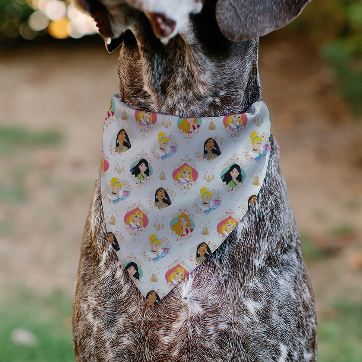 Pet Bandana - Disney Holiday Princess Poses and Icons Beige/Tan/Red Pet Bandanas Disney
