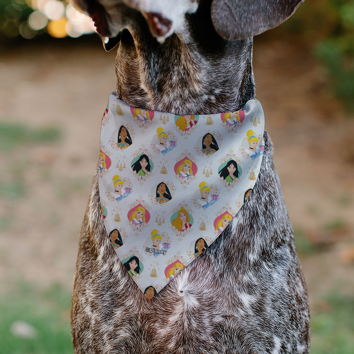 Pet Bandana - Disney Holiday Princess Poses and Icons Beige/Tan/Red Pet Bandanas Disney