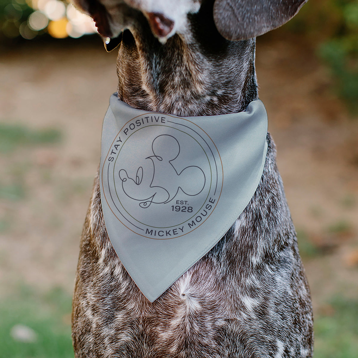 Pet Bandana - Mickey Mouse STAY POSITIVE Line White/Multi Color Pet Bandanas Disney