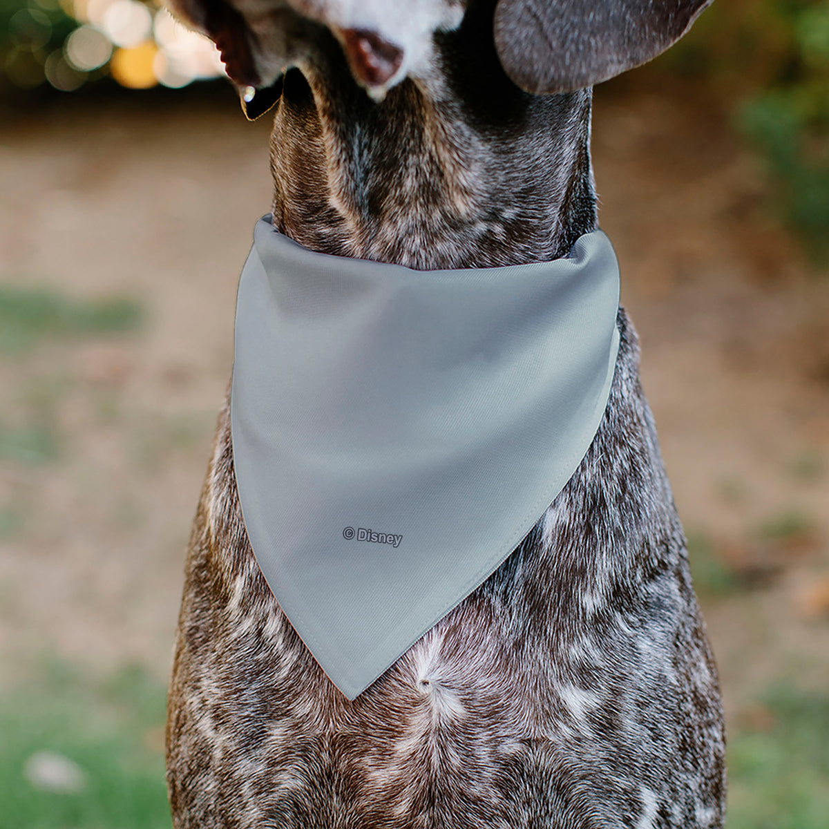 Pet Bandana - Mickey Mouse STAY POSITIVE Line White/Multi Color Pet Bandanas Disney