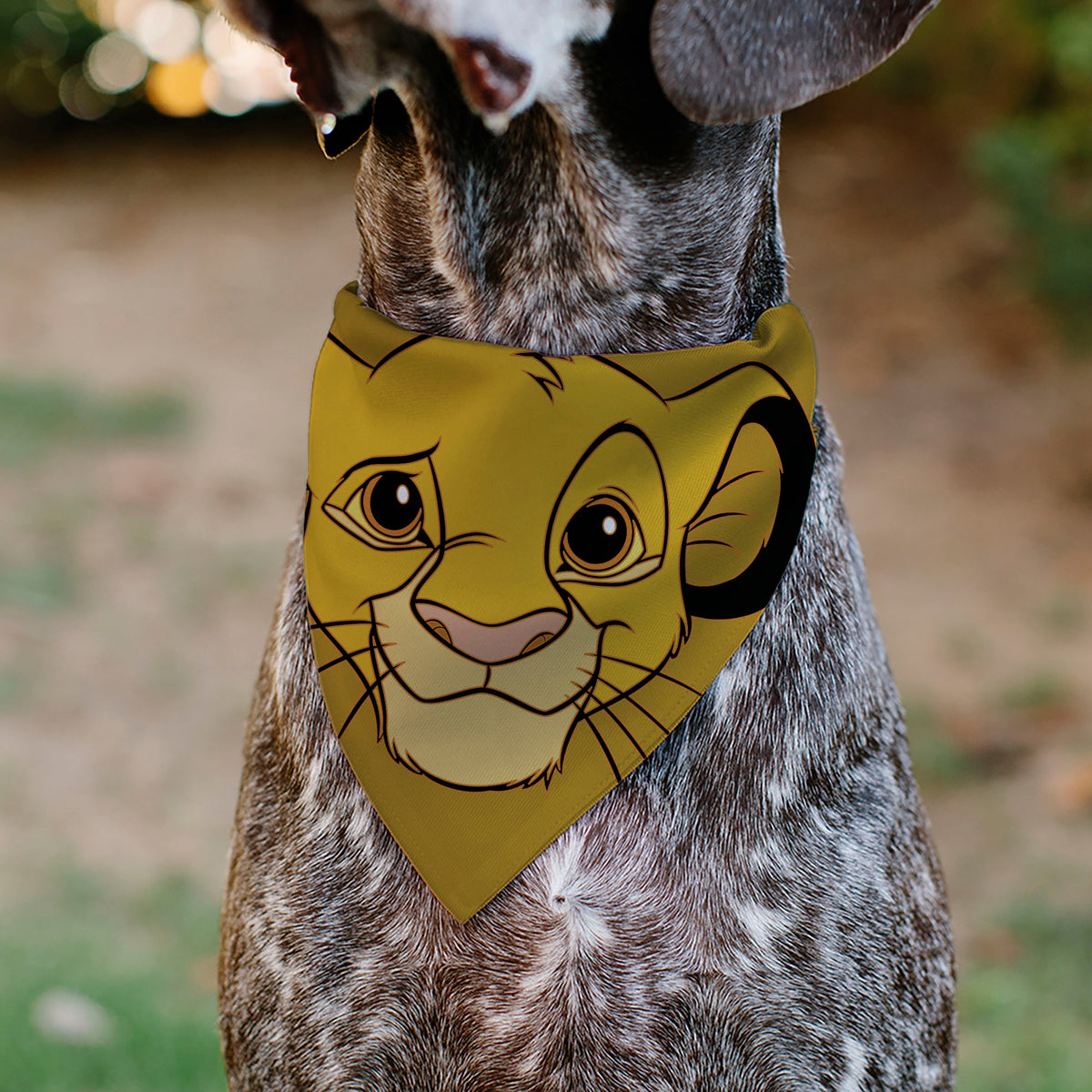 Pet Bandana - Lion King Young Simba Face Close-Up Orange Pet Bandanas Disney