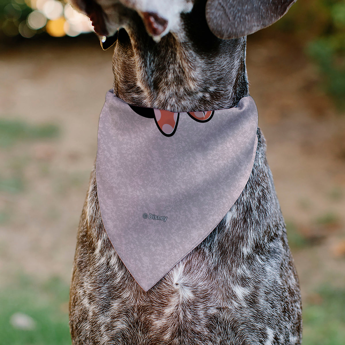 Pet Bandana - Minnie Mouse BE KIND Peace Pose Pinks Pet Bandanas Disney