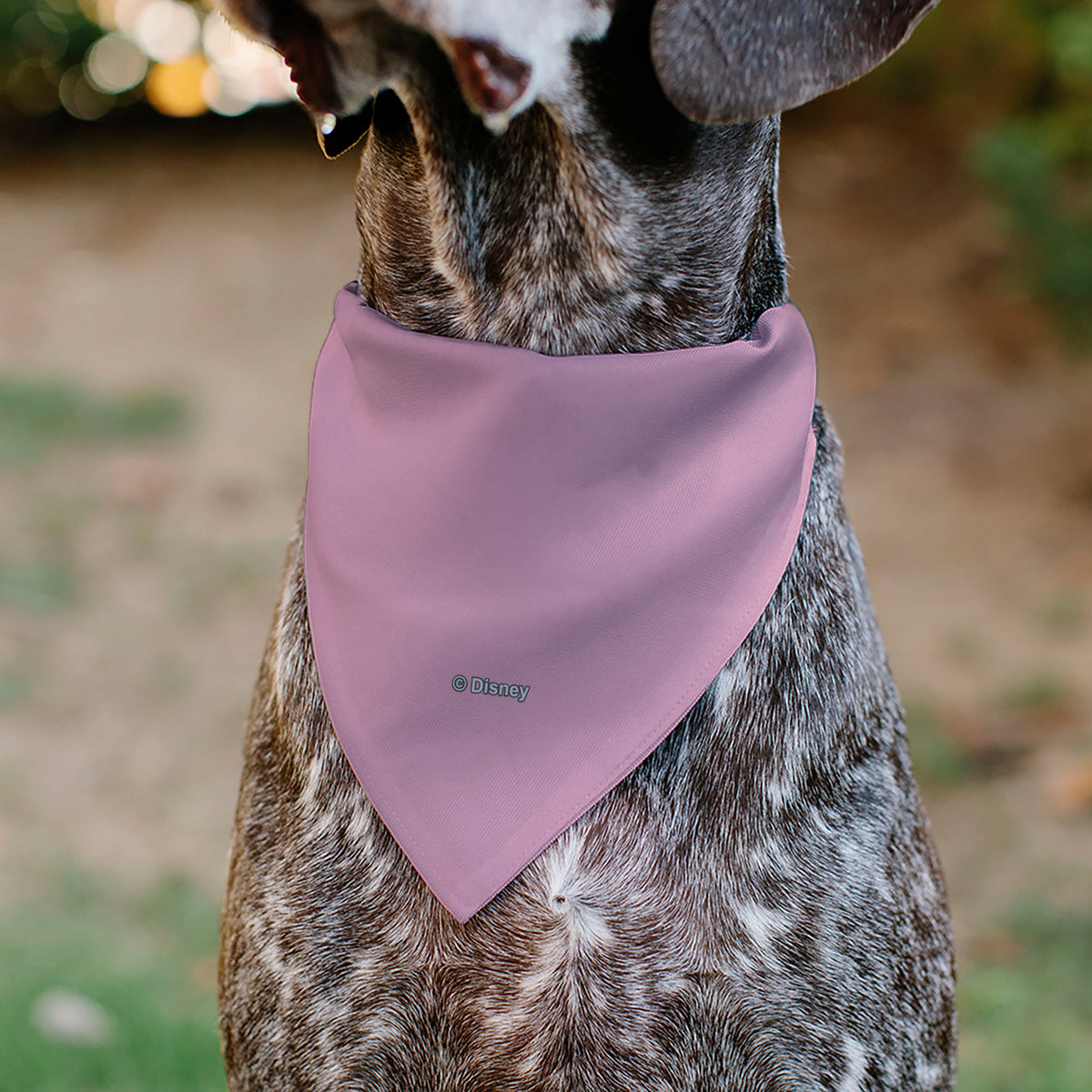 Pet Bandana - Minnie Mouse Smiling Face Close-Up Pink Pet Bandanas Disney