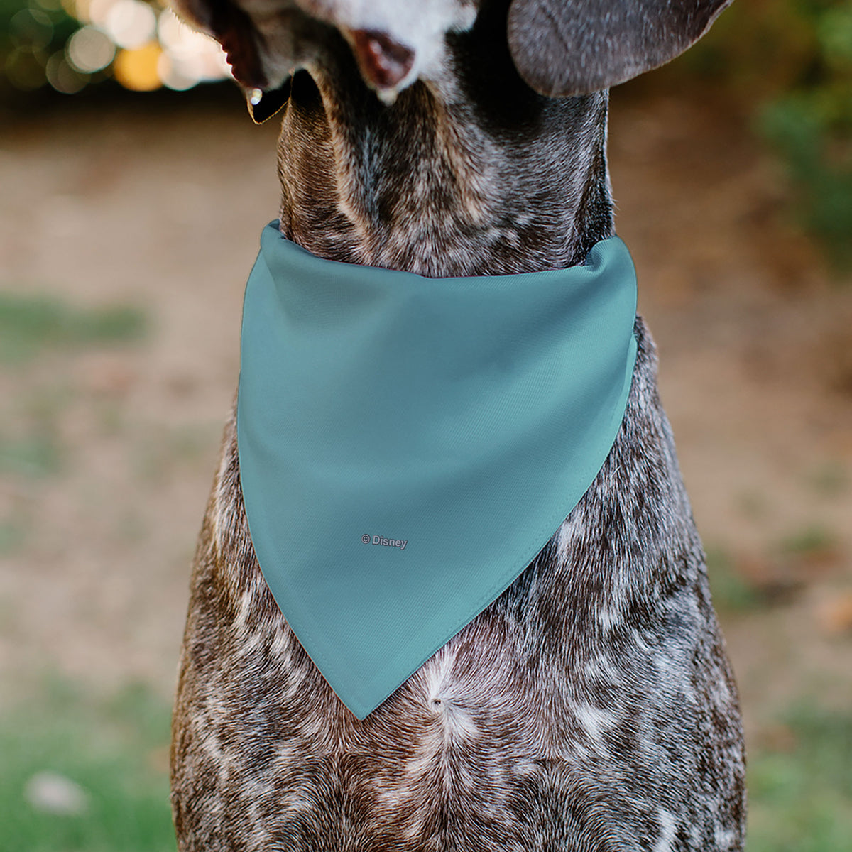 Pet Bandana - Snow White SWEET NATURED Pose Blue Pet Bandanas Disney