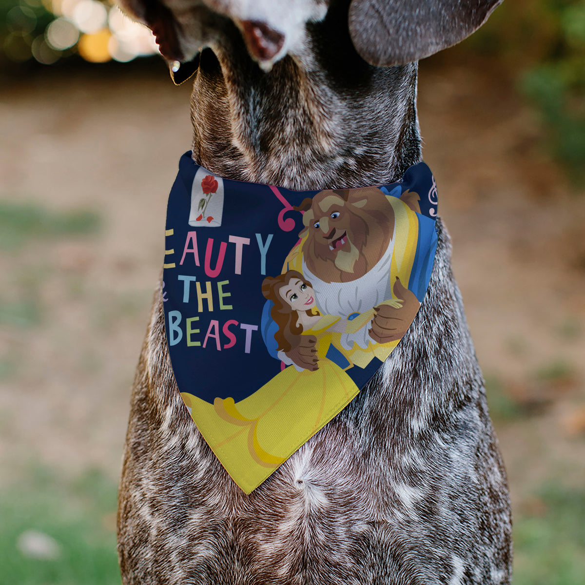 Pet Bandana - BEAUTY & THE BEAST Belle and Beast Dancing Pose Blue/Multi Color Pet Bandanas Disney