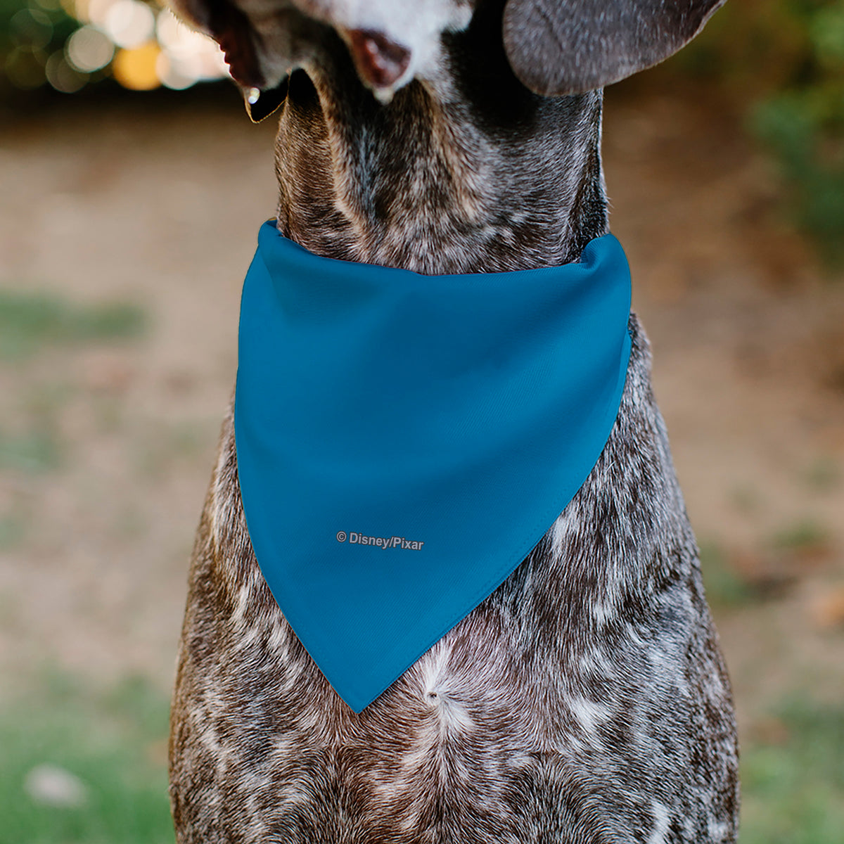 Pet Bandana - Toy Story Rex Pop Art Pose Blue/Multi Color Pet Bandanas Disney