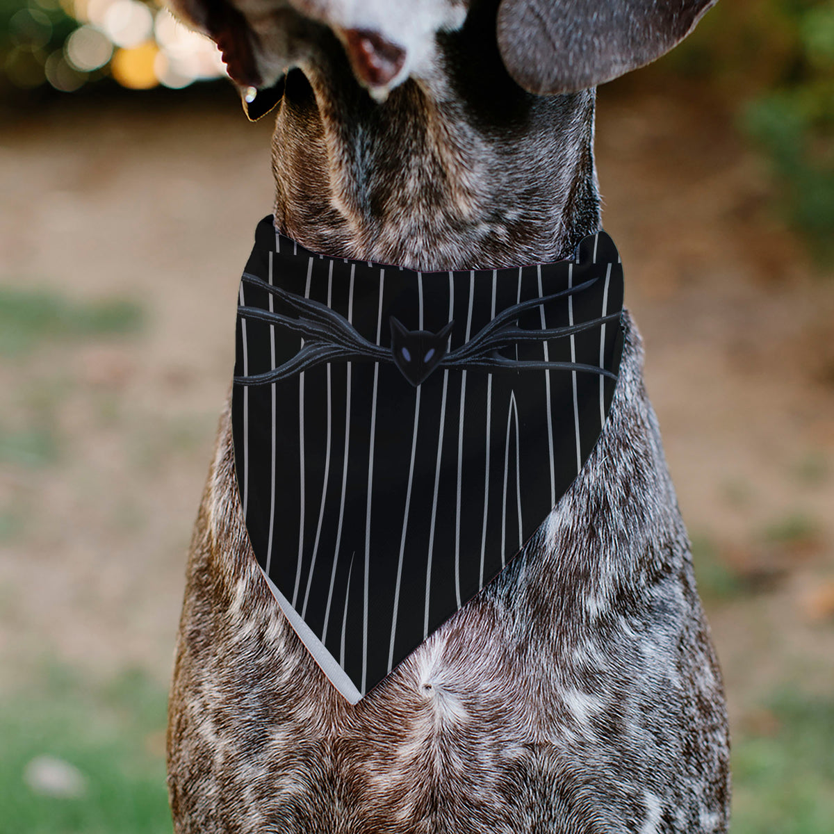 Pet Bandana - The Nightmare Before Christmas Jack Bat Tie and Suit Stripe Black/White Pet Bandanas Disney