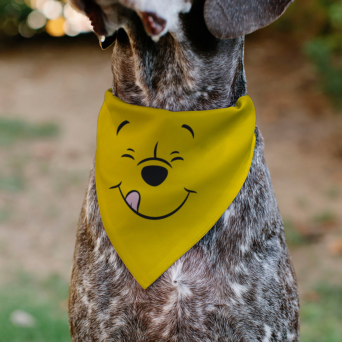 Pet Bandana - Winnie the Pooh Winking Smiling Face Golden Yellow Pet Bandanas Disney