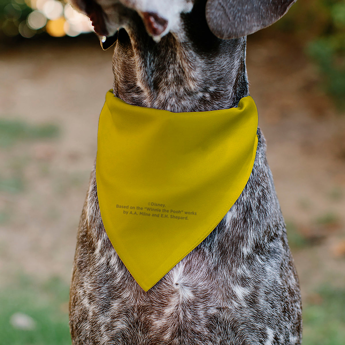 Pet Bandana - Winnie the Pooh Winking Smiling Face Golden Yellow Pet Bandanas Disney