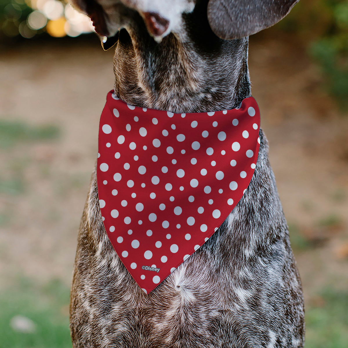 Pet Bandana - Minnie Mouse Button Eyes Pose Polka Dot Red/White Pet Bandanas Disney