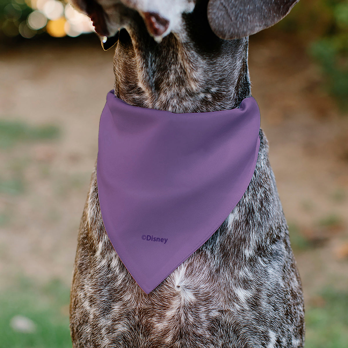 Pet Bandana - Tangled Princess Rapunzel Dress Print Lavender/Pinks Pet Bandanas Disney