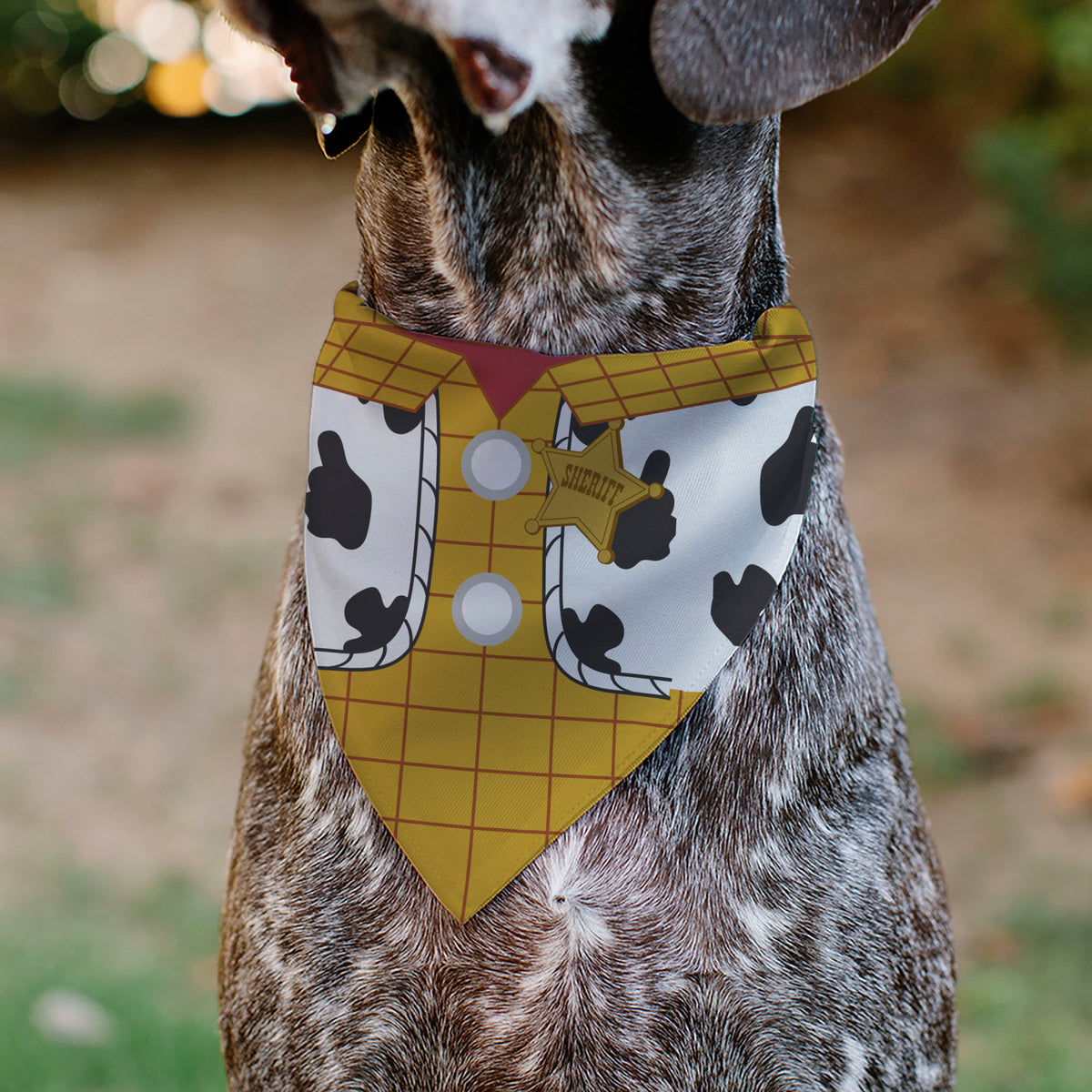 Pet Bandana - Toy Story Woody Bounding Costume Bodice Pet Bandanas Disney