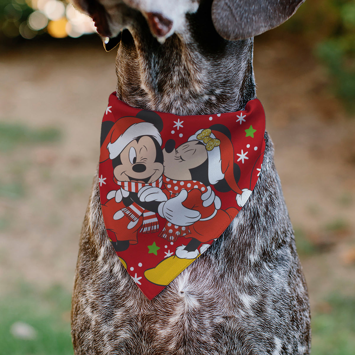 Pet Bandana - Holiday Mickey and Minnie Santa Hat Kissing Pose Red Pet Bandanas Disney