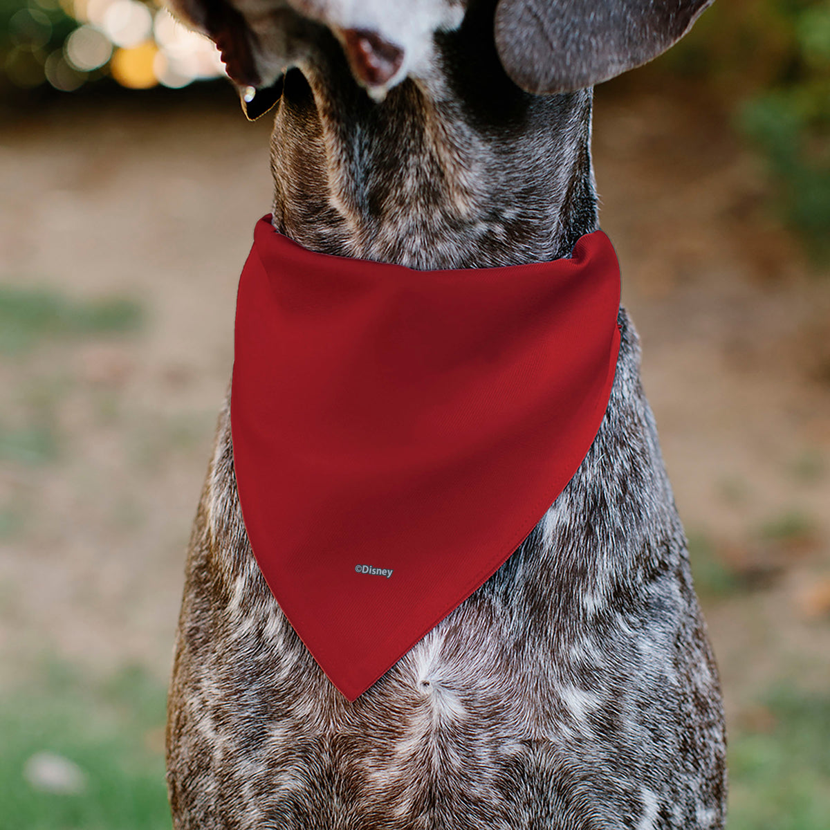 Pet Bandana - Holiday Mickey and Minnie Santa Hat Kissing Pose Red Pet Bandanas Disney
